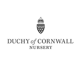 Dutchy of cornwall logo