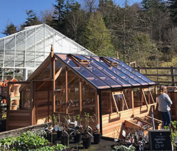 Greenhouse at Dutchy of Cornwall Nursery