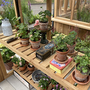 Hothouse Greenhouse 6ft x 8ft 